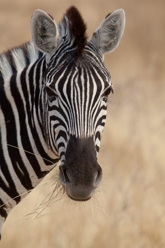 Botswana & Namibia