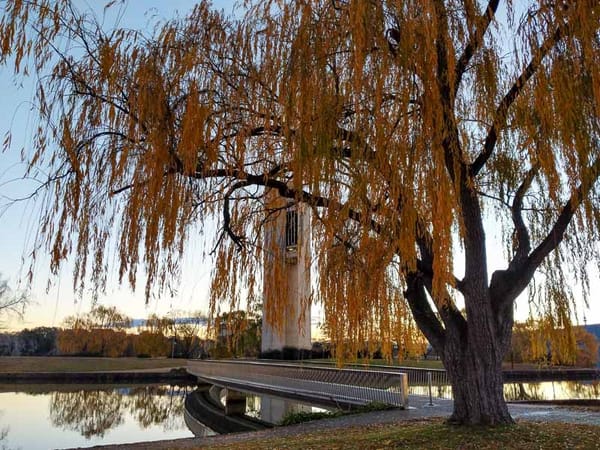 Ten things to do in Canberra